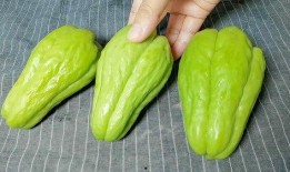 佛手瓜怎么吃啊视频,这样吃让你爱不释手