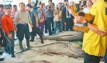 渔民吃瓜台湾事件视频播放,一场引发热议的网络视频风波