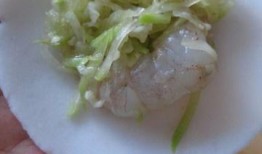 瓠子瓜加瘦肉可以吃吗视频,营养美味两不误的佳肴探索