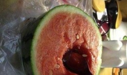 现在有人吃瓜视频吗,揭秘当下热门吃瓜视频现象