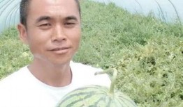 老陈吃瓜最新视频,揭秘娱乐圈最新热点事件