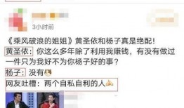 吃瓜头条黑料视频,真相与争议并存