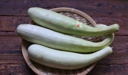 胶东玉瓜怎么吃最好吃视频,胶东玉瓜美味食法大揭秘