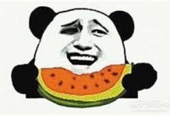 吃瓜群众碰拳二哈视频全集,一场欢乐的宠物互动盛宴