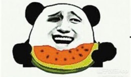 吃瓜群众碰拳二哈视频全集,一场欢乐的宠物互动盛宴