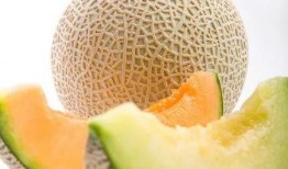 小狗吃哈密瓜配乐视频,小狗欢乐吃哈密瓜