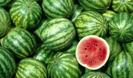 湖州吃瓜达人棒棒糖视频,揭秘当地特色美食背后的故事