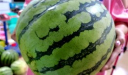 帝王套吃瓜视频