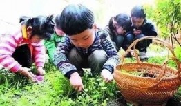 马路边吃野瓜视频大全下载,视频大全下载攻略