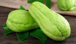 下垂的葫芦瓜可以吃吗视频,揭秘可食用葫芦瓜的奥秘
