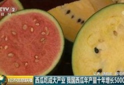 中国大型吃瓜视频下载,一网打尽全网热门内容