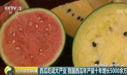 中国大型吃瓜视频下载,一网打尽全网热门内容