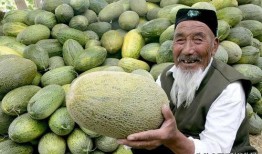 在大厅吃哈密瓜可以吗视频,大厅里的美味时光