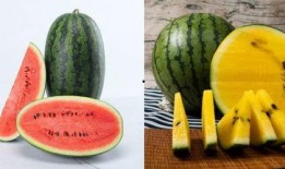 23年9月吃瓜事件视频,揭秘网络热议瞬间