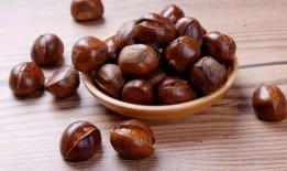 柯基可以吃板栗瓜嘛视频,揭秘板栗瓜的适口性