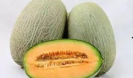 马哥吃哈密瓜视频大全集,视频大全集精彩回顾