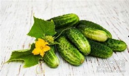 生瓜减肥怎么吃最好呢视频,轻松打造健康瘦身餐单