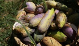 群众吃瓜炸屏视频