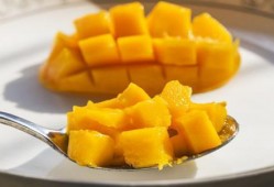 大瓜吃酸芒果的视频大全,趣味视频大全集锦