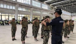 广西警校吃瓜事件始末视频,校园风波背后的真相揭秘