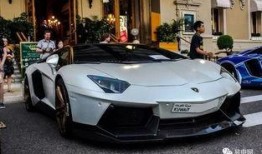 兰博基尼组队吃瓜视频