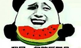 吃瓜群众视频在线,视频平台上的热门现象深度解析