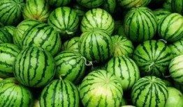 澳洲吐槽吃瓜群视频,揭秘视频背后的真实故事