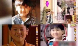 小胖墩吃瓜原视频完整版全集,揭秘原视频完整版全集的趣味与感动