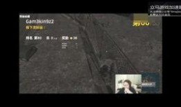 胖大瓜吃鸡视频下载,畅享游戏乐趣，尽享下载狂欢