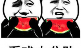 吃瓜熊打架视频在线观看,一场爆笑的动物对决