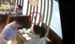 公安局吃瓜视频最新,揭秘警界幕后趣闻