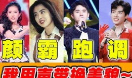 娱乐吃瓜歌曲大全视频,盘点热门歌曲大全