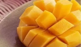 大瓜吃酸芒果的视频大全,趣味视频大全集锦