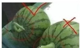 吃瓜网哪里看视频最好