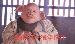 缅甸搞笑吃瓜事件真相视频,真相视频曝光背后的惊人内幕