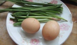 乳瓜怎么吃呢好吃视频,视频教你如何烹饪出诱人佳肴