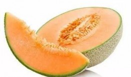 马哥吃哈密瓜视频大全集,视频大全集精彩回顾