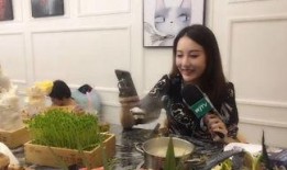 安徽台主持人吃瓜视频播放