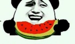 赞美吃瓜群众的视频句子