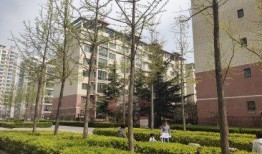 莱芜吃瓜事件泰和家园视频,泰和家园视频揭秘社区冲突瞬间