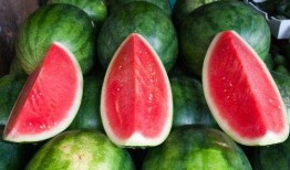 吃瓜长肉快吗还是慢呢视频,快还是慢？