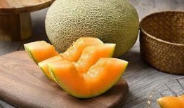 吃鸡视频南瓜冬瓜哈密瓜,欢乐“吃鸡”之旅