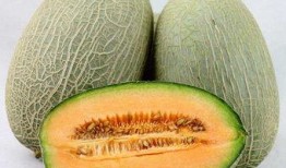 名媛吃哈密瓜的视频大全,哈密瓜美食盛宴