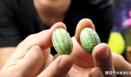 西瓜视频吃瓜小小米,吃瓜小小米带你领略网络热点的魅力