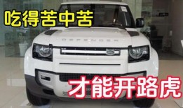 开路虎吃瓜视频,揭秘奢华生活背后的趣味瞬间