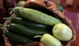 知名网红吃瓜视频下载大全,一网打尽精彩瞬间