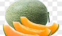 假吃哈密瓜素材视频大全,趣味挑战背后的美食诱惑