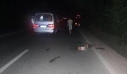 吃瓜小狗车祸视频,吃瓜小狗遭遇车祸，网友热议生命无常