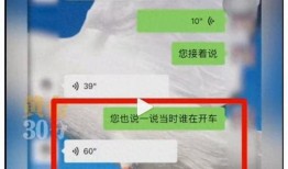 临港吃瓜事件视频播放全集