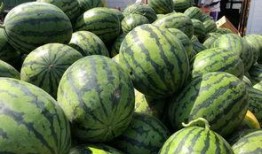 砀山最新吃瓜爆料视频,揭秘神秘事件背后的真相